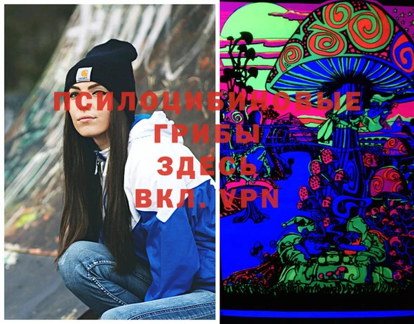 PSILOCYBIN Аркадак