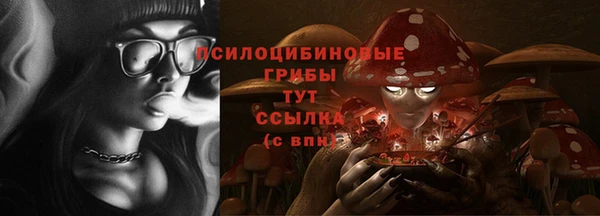 PSILOCYBIN Аркадак