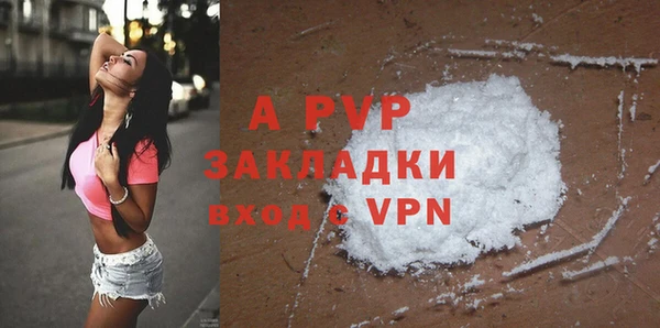 PSILOCYBIN Аркадак