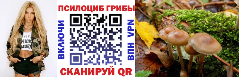 сколько стоит Кемь Галлюциногенные грибы прущие грибы